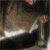 :iconmikamixryukfc: