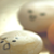 :iconmikasrecipes: