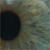 :iconMikau-010: