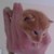 :iconmike-453: