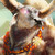 :iconmikebourbeauart: