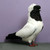 :iconmiked312: