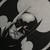 MIKEGILL :iconmikegill: