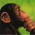 :iconmikepedersen: