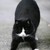 :iconmikerowe: