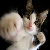 :iconmikes45161: