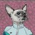 :iconmikeshepi: