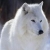 :iconmikesimmons: