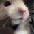 :iconmikhaylaxduckys: