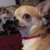 :iconmiko-darcia: