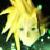 :iconmiko-infused-one: