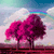 :iconmikodragonfly: