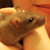 :iconmikrilla: