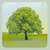 :iconmiladdesigns: