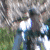 :iconmilaxd: