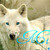 :iconmileythewolf: