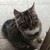:iconmilie88:
