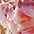 :iconmilimitz: