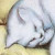 :iconmilisorge: