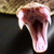 :iconmilitaryman30: