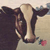 :iconmilkbox:
