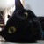 :iconmilkyy-nya: