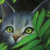:iconmillie-warrior-cat: