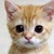 :iconmilliescratch: