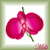 :iconMilligelic: