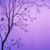 :iconmilliithemuffin: