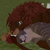 :iconmillythelion: