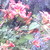 :iconmiltoniaorchid17: