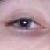 :iconmiltonius: