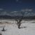 :iconmiltonscapes: