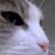 :iconmily7: