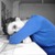 :iconmimczc: