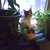 :iconmimi61782: