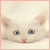 :iconmimihenri: