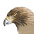 :iconmimiss-dessin: