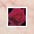 :iconmimouna: