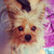:iconmin-kat: