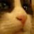 :iconminakat: