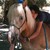 :iconminako1128: