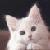 :iconminarea:
