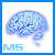 :iconmind-scheme: