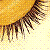 :iconmindbound: