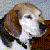 :iconmindcandyman: