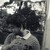 :iconmindfreak-z: