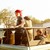 :iconmindlessartfreak: