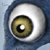 :iconMindrak: